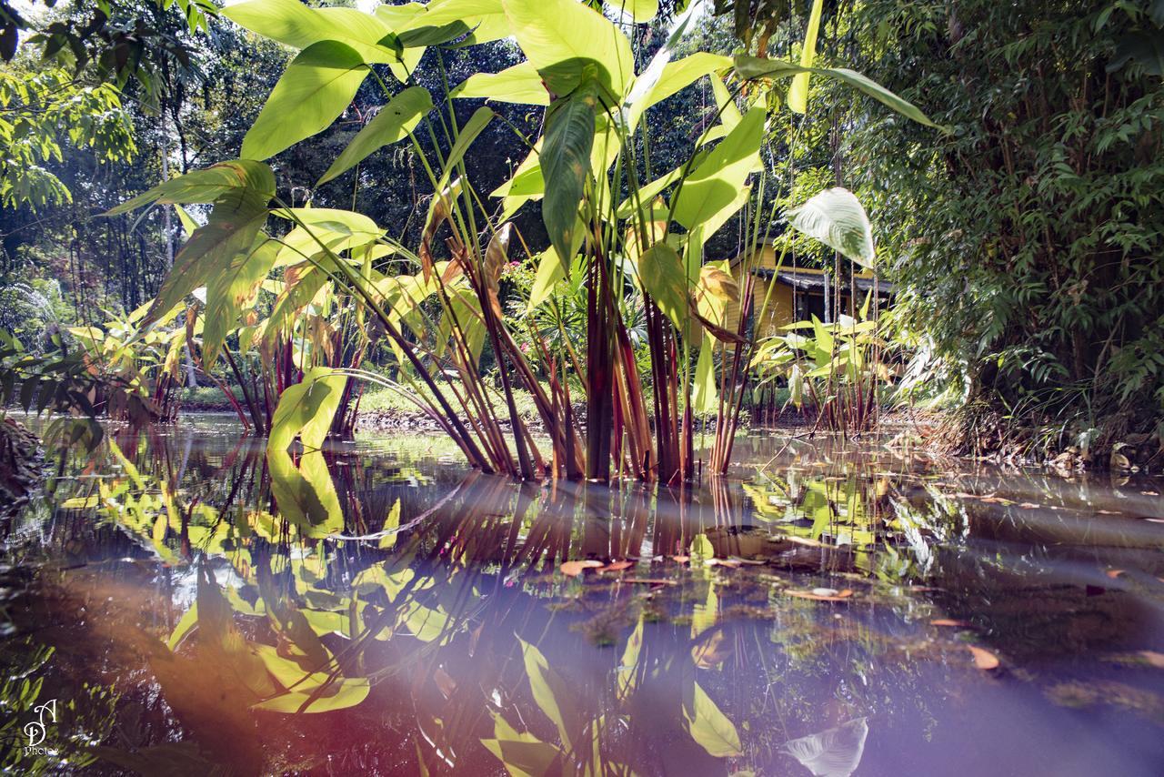 Отель Garden Of Joy Ко Чанг Экстерьер фото